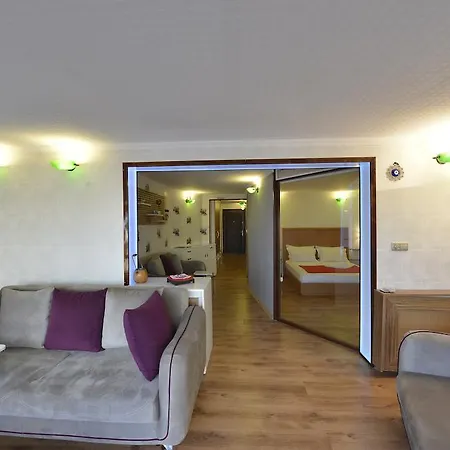 Penthouse Hotel